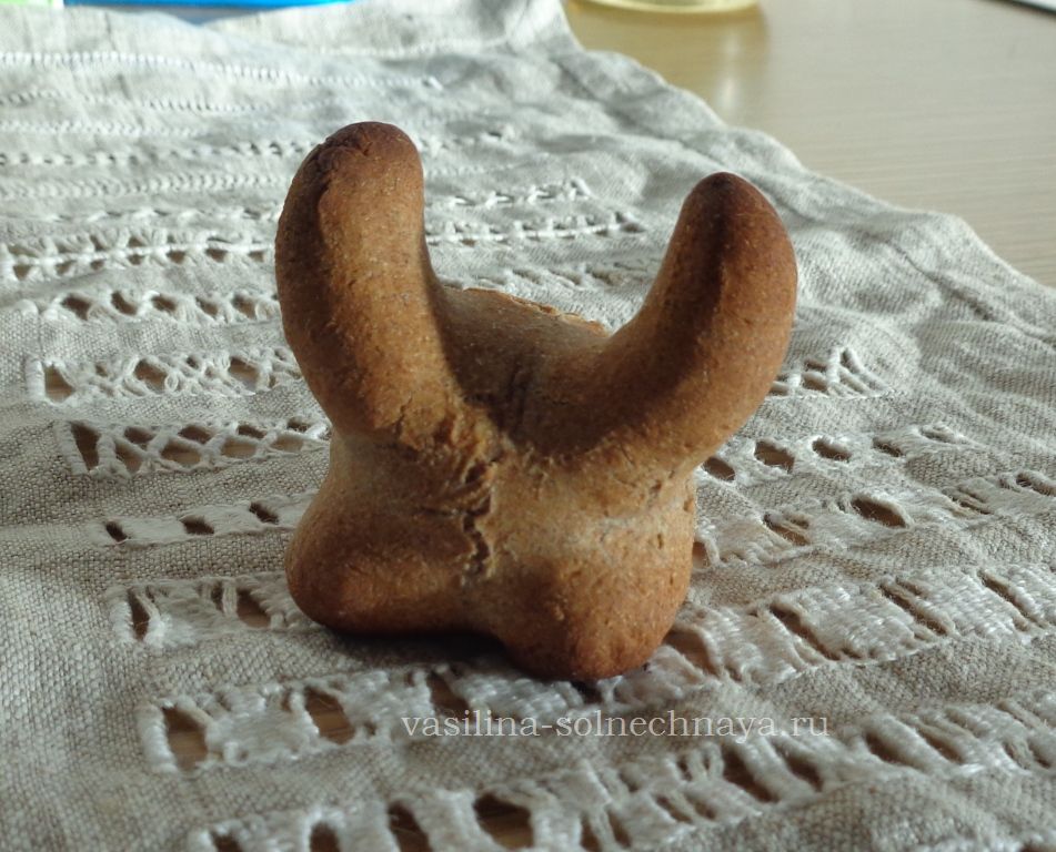 terskie_kozuli
