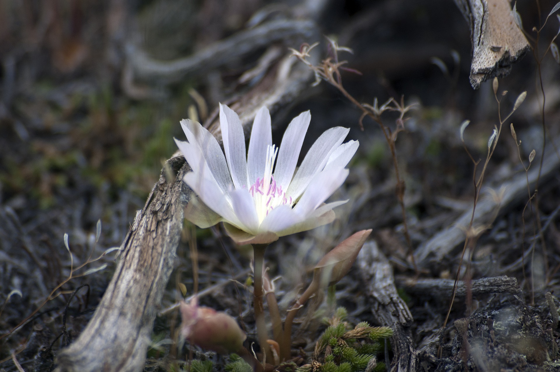 poluchitsya-tiho-skazal-bog