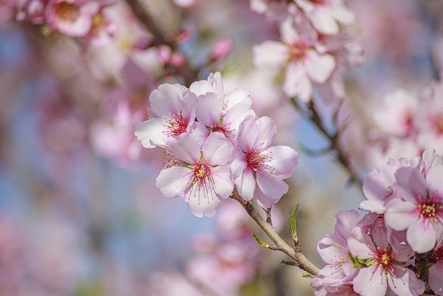 esli-ne-vyjdet