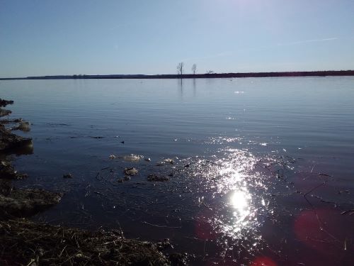 videt-chto-to-sokrovennoe-dazhe-skvoz-mut